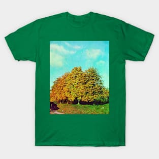 Indian Summer... T-Shirt